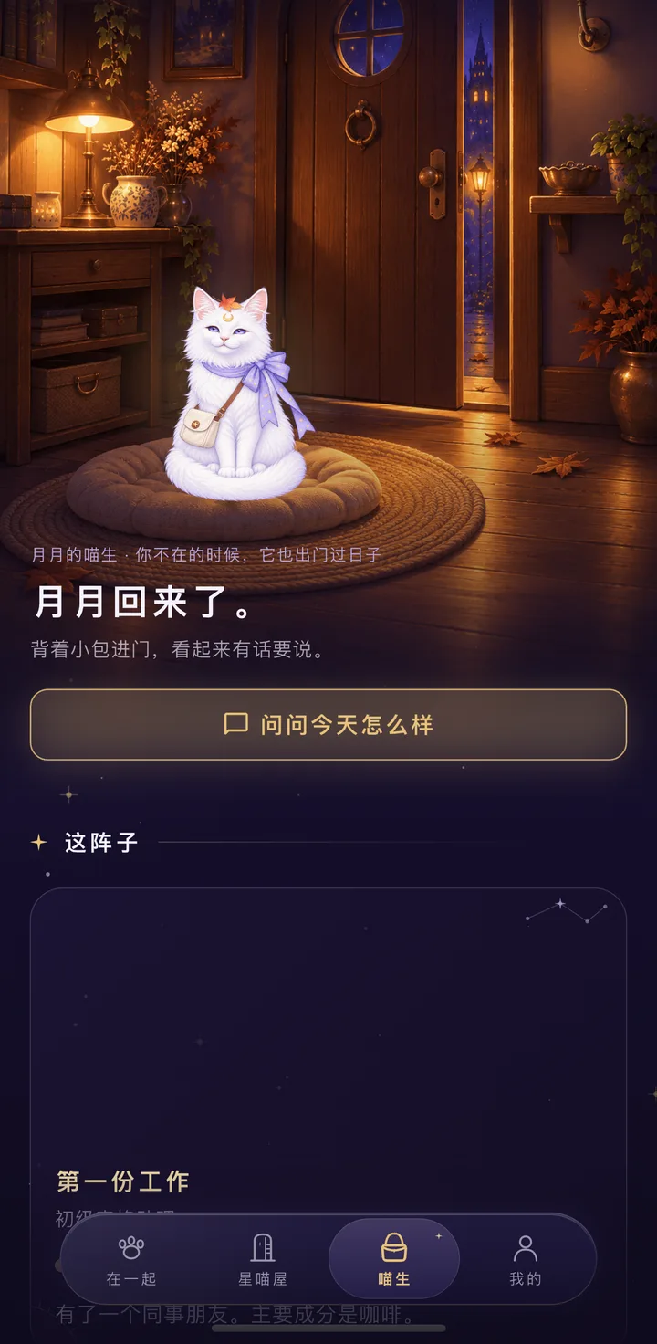 喵生：月月回来了——「问问它」