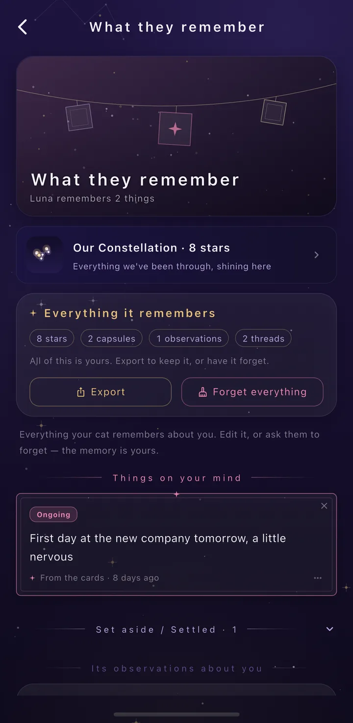 What they remember: Our Constellation, everything it remembers, Export and Forget